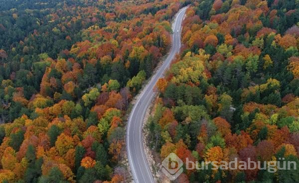 Bursa Uludağ'da kartpostallık görüntüler	
