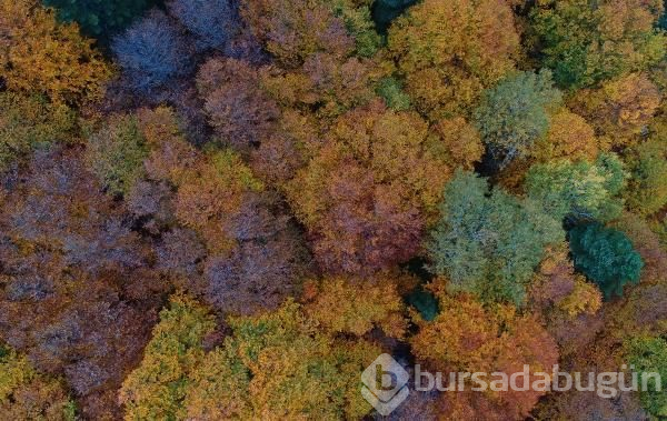 Bursa Uludağ'da kartpostallık görüntüler	