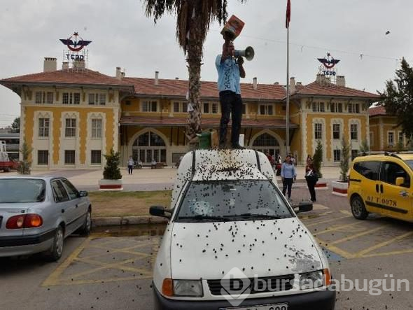 Dolandırıldığı söyleyip, sattığı ürünleri etrafa saçtı
