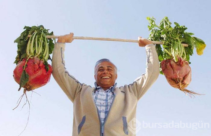 Gerçek olduğuna inanmakta güçlük çekeceğiniz dev sebze ve meyveler
