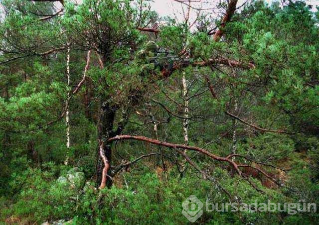 Kamuflaj ustası keskin nişancıların ilk kez göreceğiniz görüntüleri
