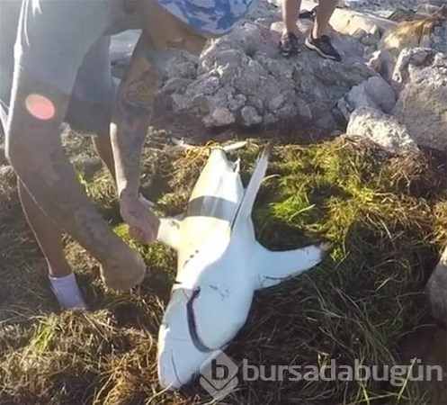 Dünyada iyiliğin varolduğunu kanıtlayan insanlar
