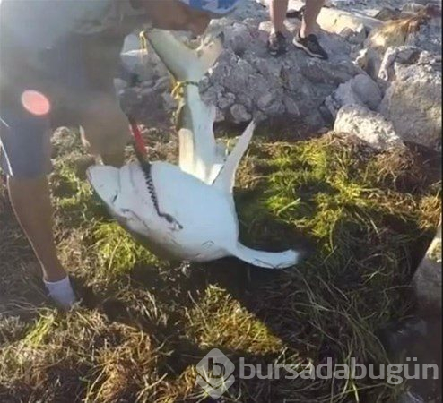 Dünyada iyiliğin varolduğunu kanıtlayan insanlar
