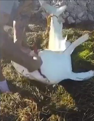 Dünyada iyiliğin varolduğunu kanıtlayan insanlar
