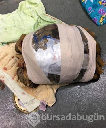 Dünyada iyiliğin varolduğunu kanıtlayan insanlar
