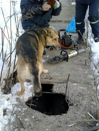 Dünyada iyiliğin varolduğunu kanıtlayan insanlar
