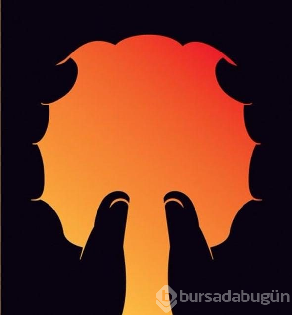 Bu resimde ne görüyorsun? 