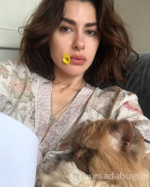 Nesrin Cavadzade, Cannes yolcusu
