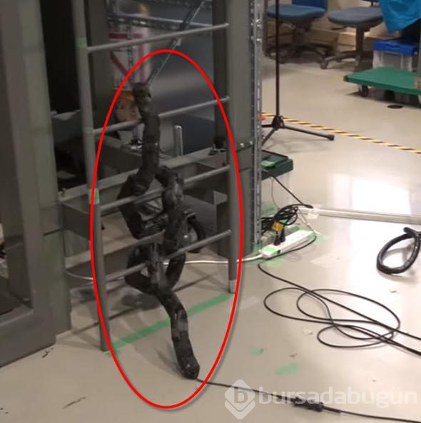 Katil robotlardan merdivenden tırmansanız da kaçamayacaksınız!
