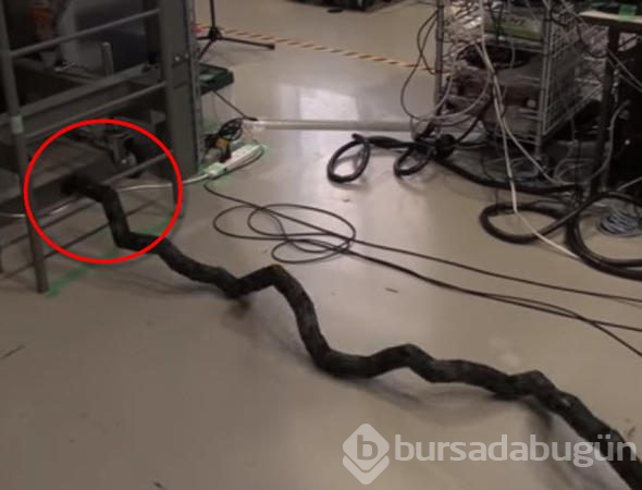 Katil robotlardan merdivenden tırmansanız da kaçamayacaksınız!
