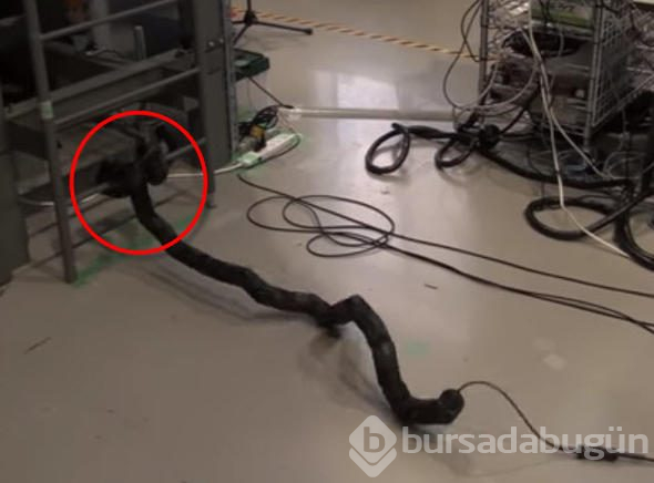 Katil robotlardan merdivenden tırmansanız da kaçamayacaksınız!
