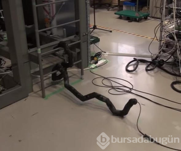 Katil robotlardan merdivenden tırmansanız da kaçamayacaksınız!
