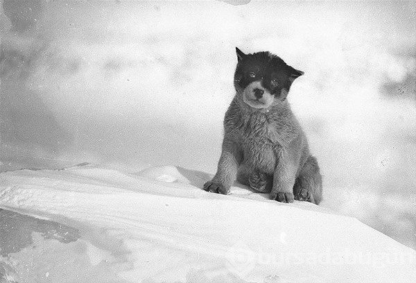Nadir görülmüş tarihi fotoğraflar

