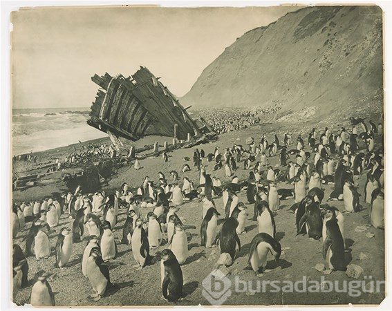 Nadir görülmüş tarihi fotoğraflar
