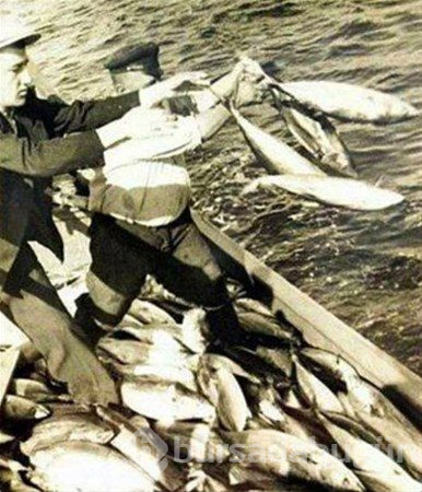 Nadir görülmüş tarihi fotoğraflar
