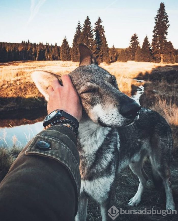 Bir köpeğin 'Beni takip et' dediği seyahat fotoğrafları
