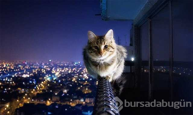 Günün en çok paylaşılan fotoğrafları
