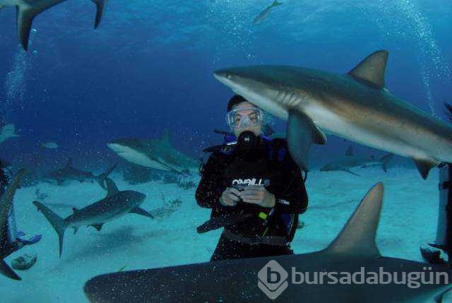 Günün en çok paylaşılan fotoğrafları
