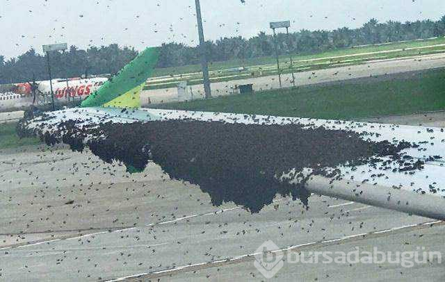 Günün en çok paylaşılan fotoğrafları
