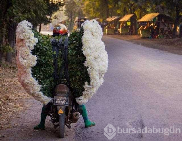 Günün en çok paylaşılan fotoğrafları
