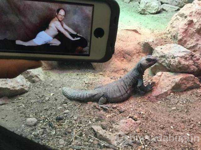 Günün en çok paylaşılan fotoğrafları
