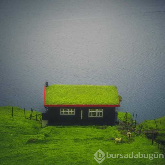 Günün en çok paylaşılan fotoğrafları
