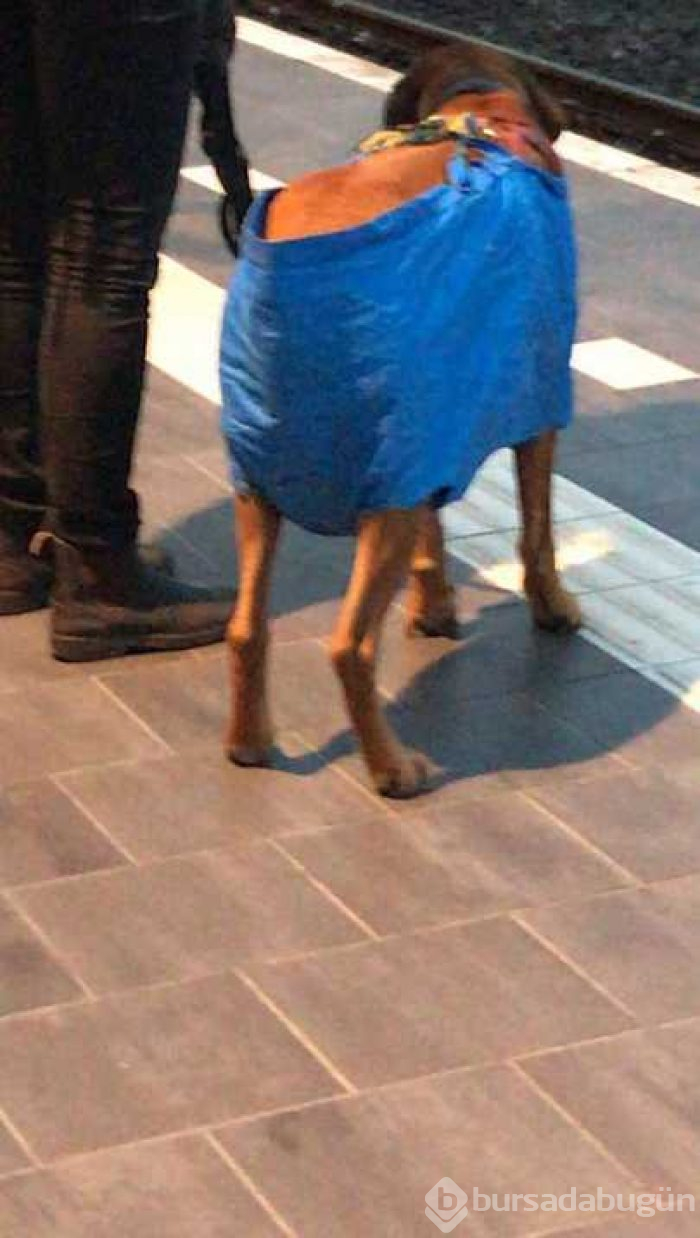 Günün en çok paylaşılan fotoğrafları
