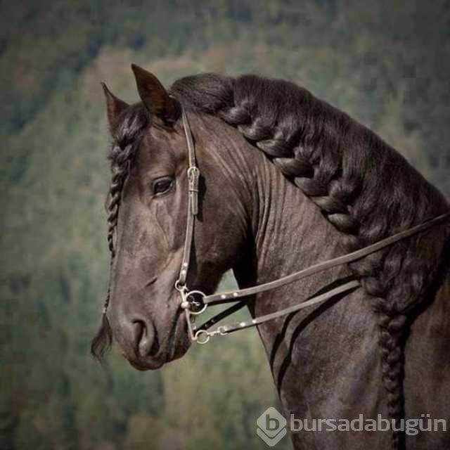 Günün en çok paylaşılan fotoğrafları
