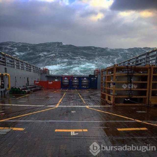 Günün en çok paylaşılan fotoğrafları
