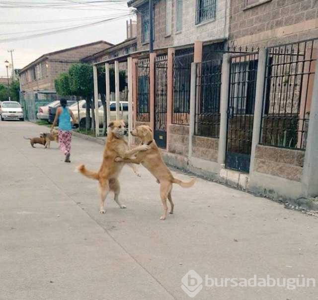 Günün en çok paylaşılan fotoğrafları
