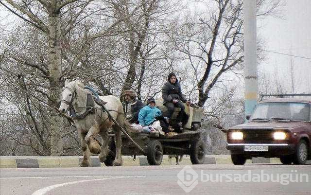 Günün en çok paylaşılan fotoğrafları
