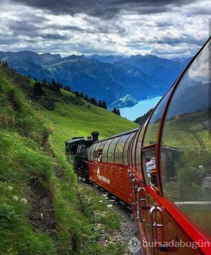 Günün en çok paylaşılan fotoğrafları
