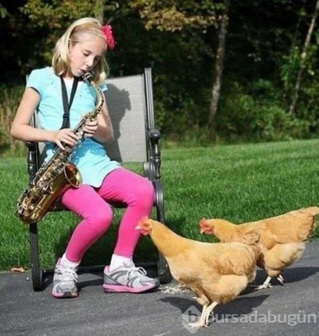 Günün en çok paylaşılan fotoğrafları
