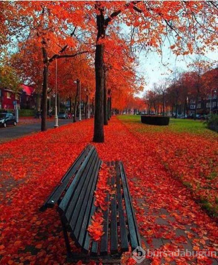Günün en çok paylaşılan fotoğrafları
