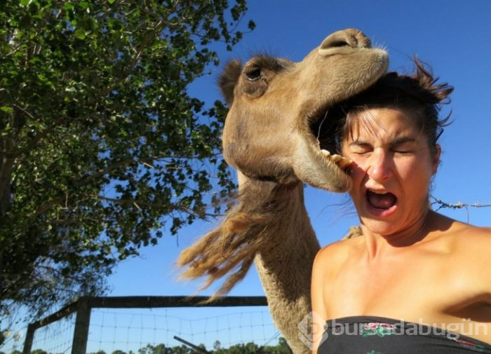 'Selfie' hayatımıza girdiğinden beri iyice tuhaflaşan, selfie çılgını insanlar!
