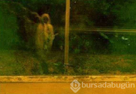 Sosyal medyada dolaşan en korkunç hayalet fotoğrafları
