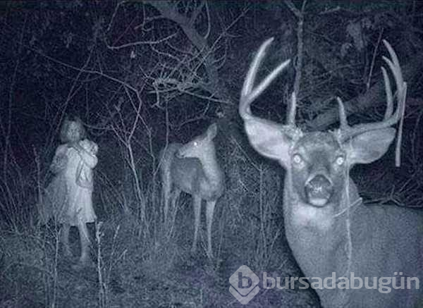Sosyal medyada dolaşan en korkunç hayalet fotoğrafları