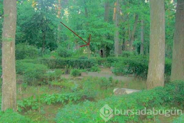 Sosyal medyada dolaşan en korkunç hayalet fotoğrafları