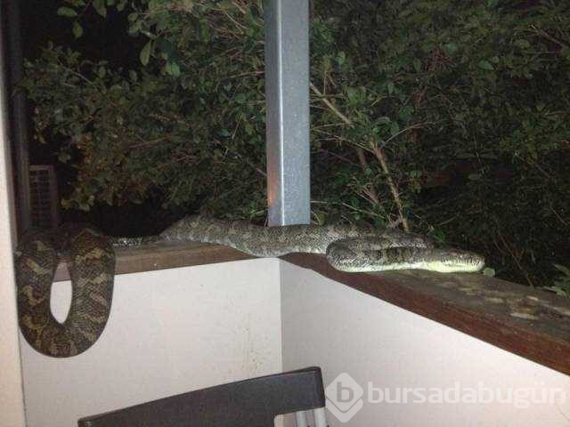 Günün en çok paylaşılan fotoğrafları (19.10.2018)