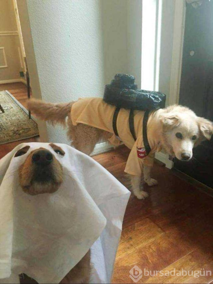 Günün en çok paylaşılan fotoğrafları (19.10.2018)