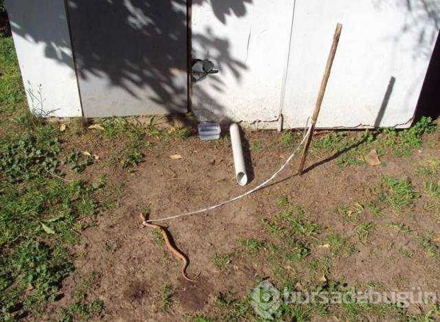 Günün en çok paylaşılan fotoğrafları (19.10.2018)