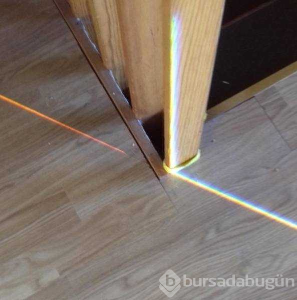 Günün en çok paylaşılan fotoğrafları (19.10.2018)