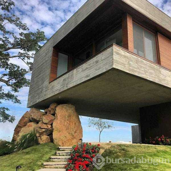 Günün en çok paylaşılan fotoğrafları (19.10.2018)