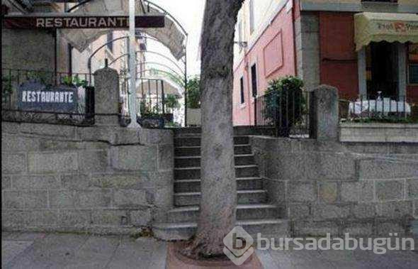 Şaşkına çeviren mühendislik hataları
