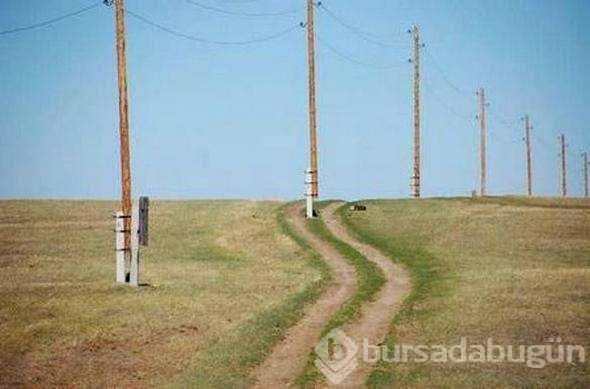 Şaşkına çeviren mühendislik hataları
