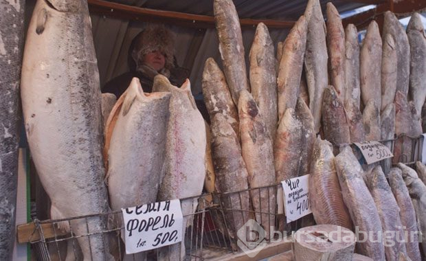 Dünyanın en soğuk yeri: Oymyakon
