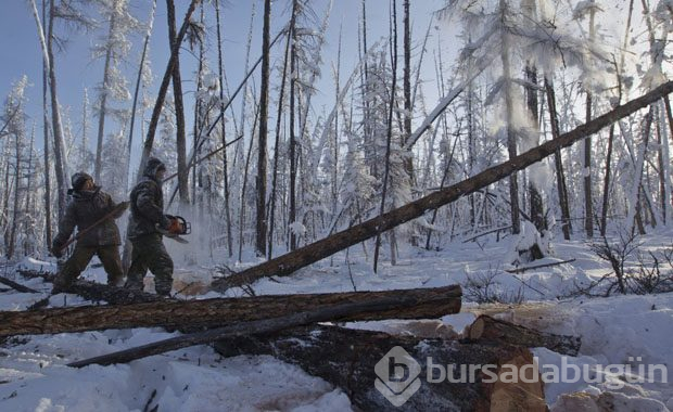 Dünyanın en soğuk yeri: Oymyakon
