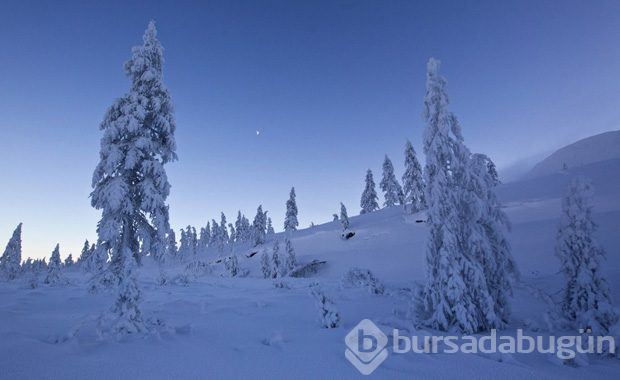 Dünyanın en soğuk yeri: Oymyakon
