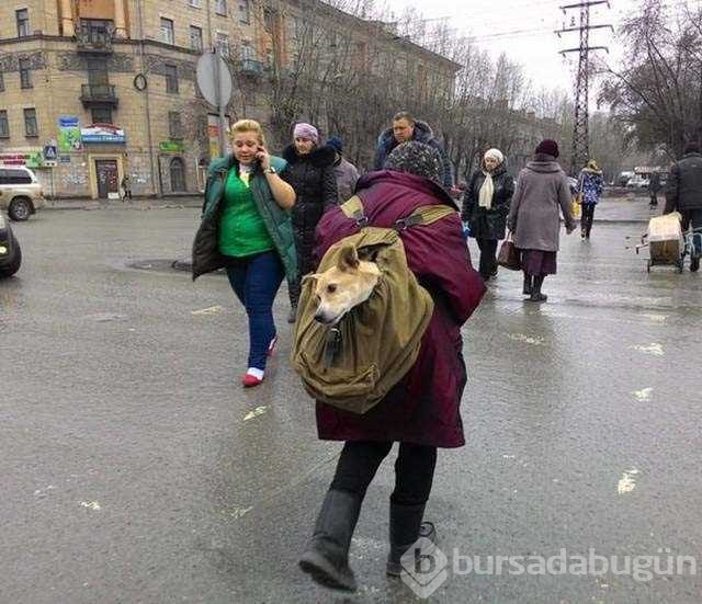 Sadece Rusya'da görebilirsiniz
