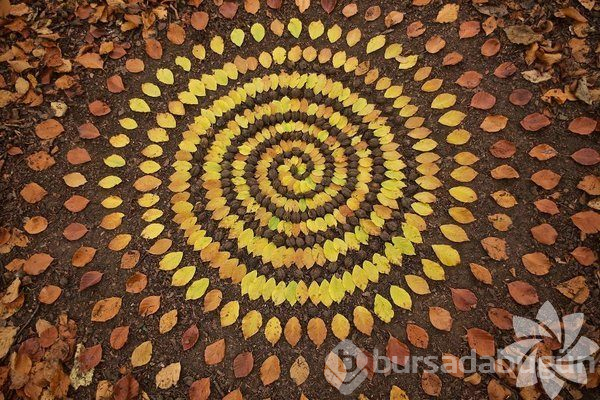 Sanat doğada!
